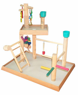 bird play gym