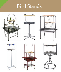 Bird Stands