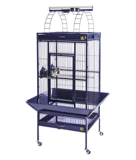 Medium Select Wrought Iron Parrot Cage 
