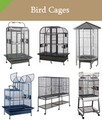fancy parakeet cages